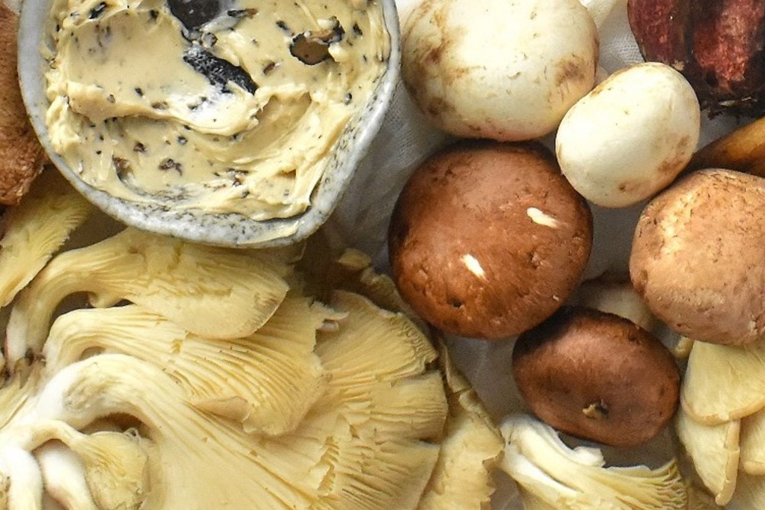 Wild Mushroom Ragout